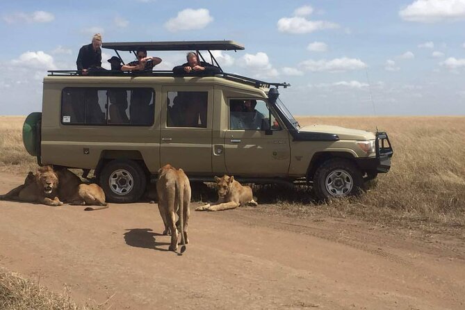 Lion King Adventures