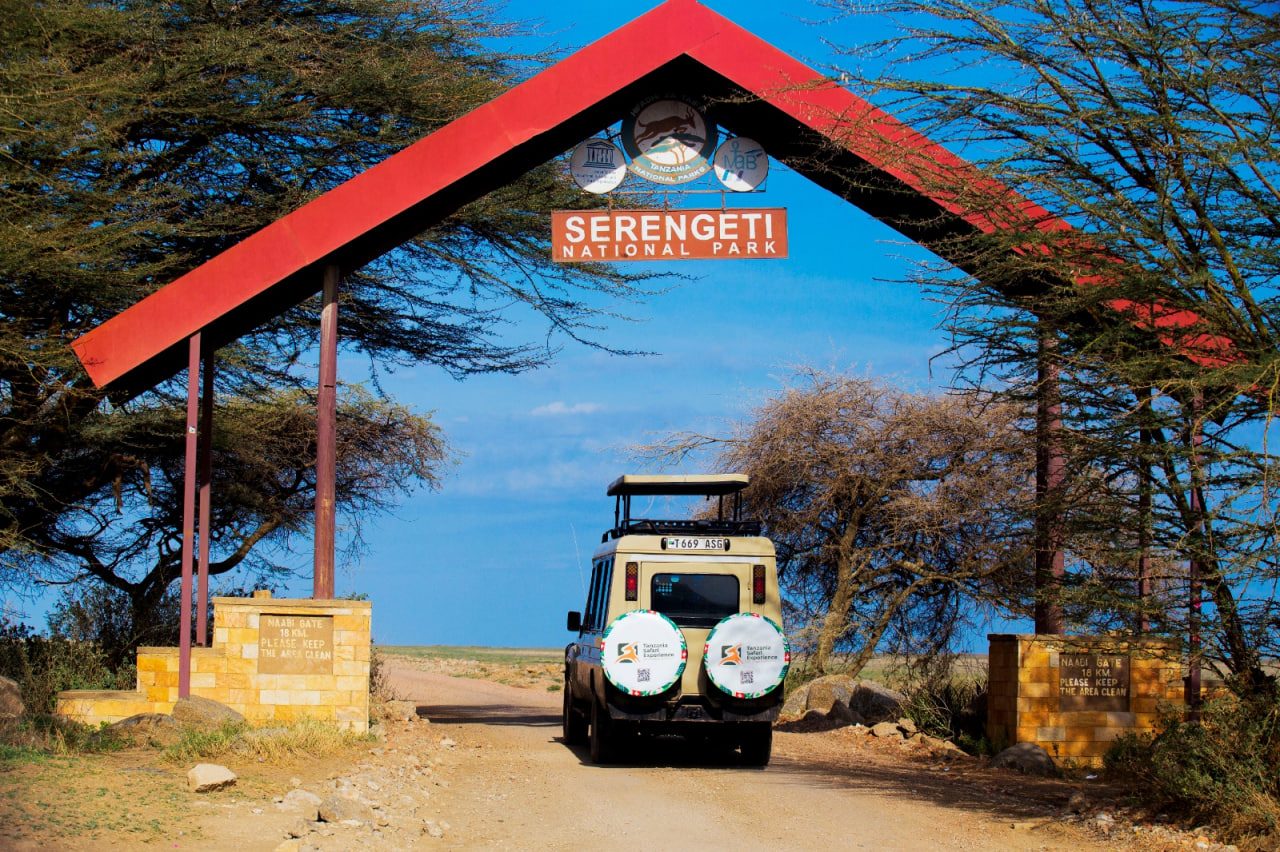 Tanzania Safari Experience