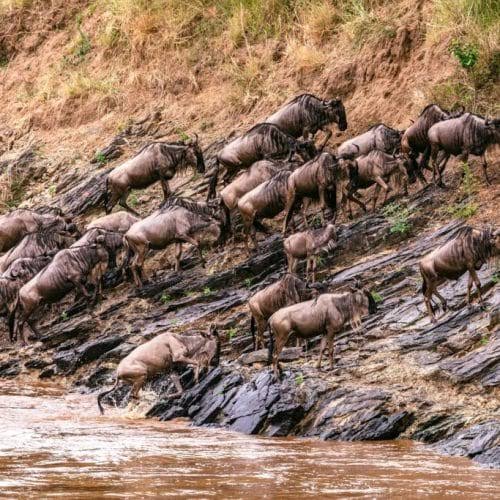 Lejama Tours