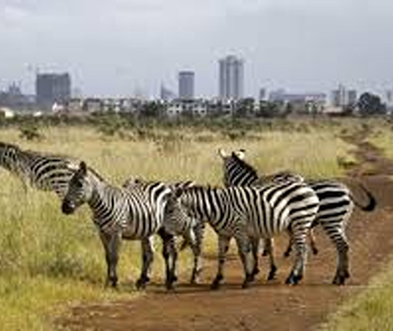 Lejama Tours