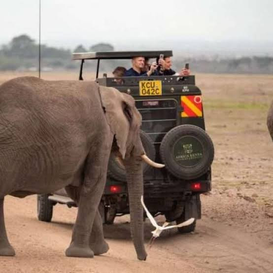 Lake Nakuru- Masai Mara National Reserve Tour
