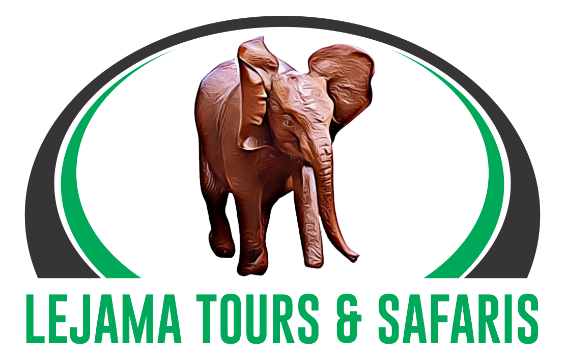 Lejama Tours logo